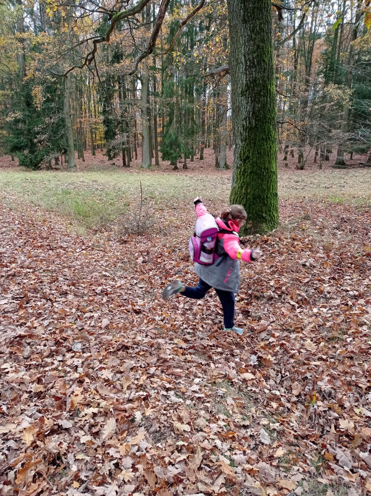 IMG-20231110-WA0048